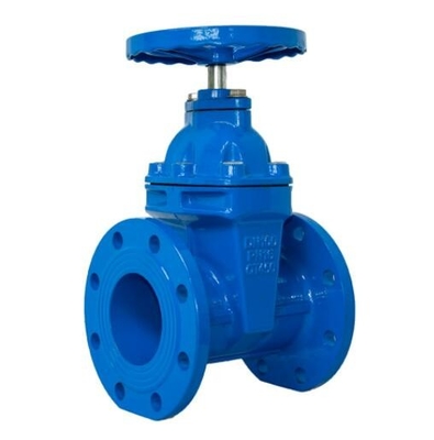 BS 5163 RISING SEM RESILIENT GATE VALVE PN16 Stainless Steel Gate Valve